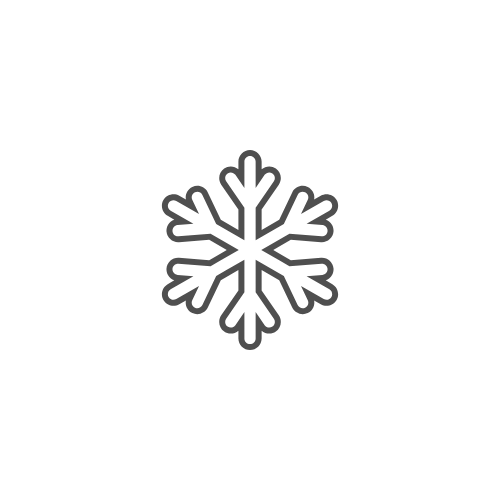 snow icon